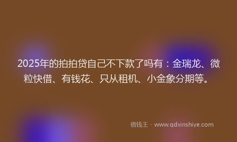 2025年的拍拍贷自己不下款了吗有：金瑞龙、微粒快借、有钱花、只从租机、小金象分期等。