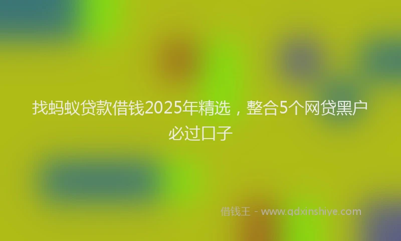 找蚂蚁贷款借钱2025年精选，整合5个网贷黑户必过口子