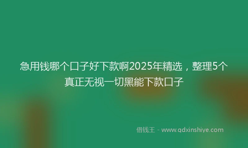 急用钱哪个口子好下款啊2025年精选，整理5个真正无视一切黑能下款口子