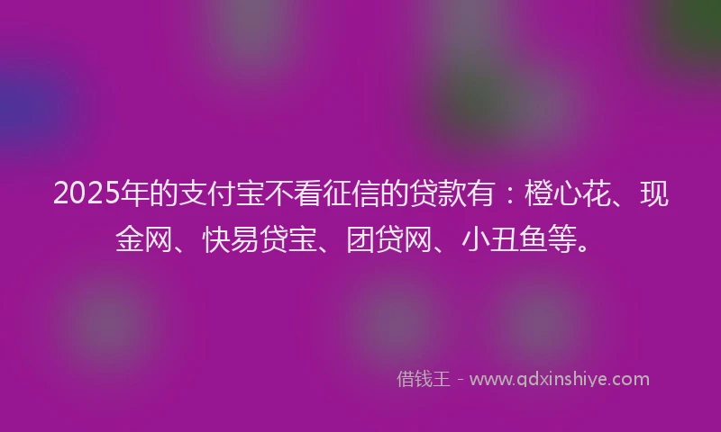 2025年的支付宝不看征信的贷款有：橙心花、现金网、快易贷宝、团贷网、小丑鱼等。