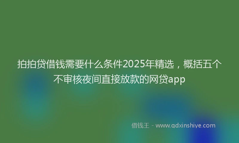 拍拍贷借钱需要什么条件2025年精选，概括五个不审核夜间直接放款的网贷app