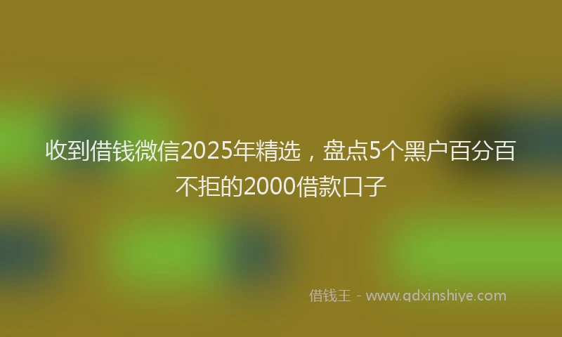 收到借钱微信2025年精选，盘点5个黑户百分百不拒的2000借款口子