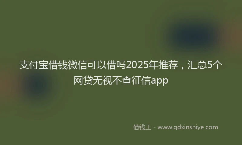 支付宝借钱微信可以借吗2025年推荐，汇总5个网贷无视不查征信app