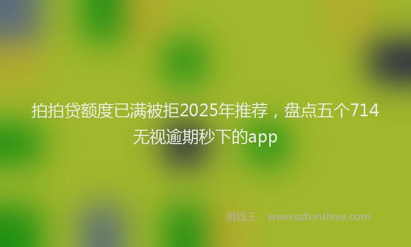 拍拍贷额度已满被拒2025年推荐，盘点五个714无视逾期秒下的app