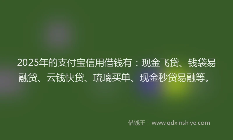 2025年的支付宝信用借钱有：现金飞贷、钱袋易融贷、云钱快贷、琉璃买单、现金秒贷易融等。
