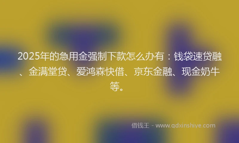 2025年的急用金强制下款怎么办有：钱袋速贷融、金满堂贷、爱鸿森快借、京东金融、现金奶牛等。