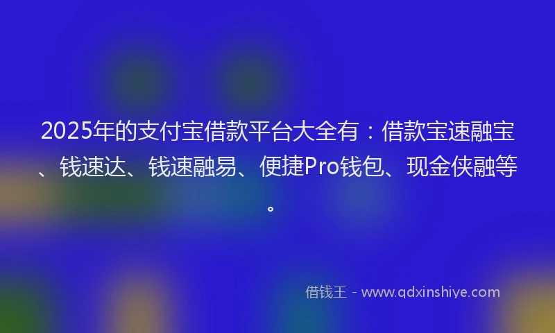 2025年的支付宝借款平台大全有：借款宝速融宝、钱速达、钱速融易、便捷Pro钱包、现金侠融等。