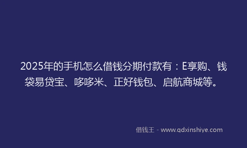 2025年的手机怎么借钱分期付款有：E享购、钱袋易贷宝、哆哆米、正好钱包、启航商城等。