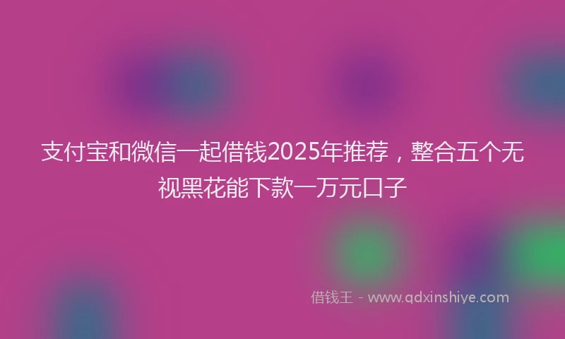 支付宝和微信一起借钱2025年推荐，整合五个无视黑花能下款一万元口子