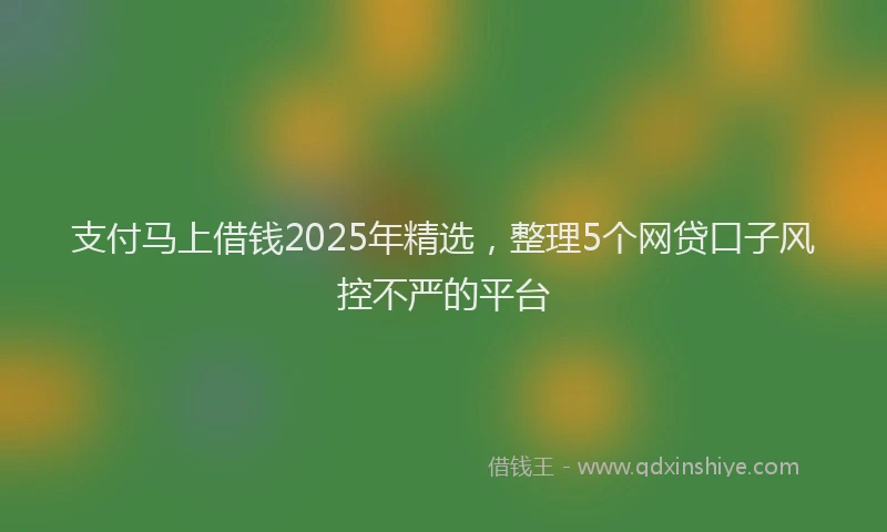 支付马上借钱2025年精选，整理5个网贷口子风控不严的平台