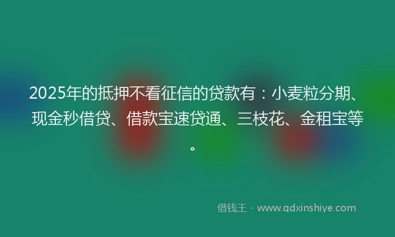 2025年的抵押不看征信的贷款有：小麦粒分期、现金秒借贷、借款宝速贷通、三枝花、金租宝等。