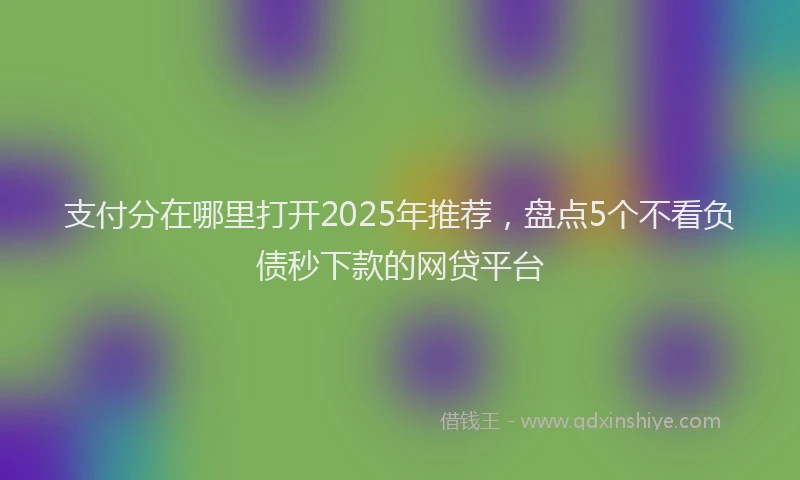 支付分在哪里打开2025年推荐，盘点5个不看负债秒下款的网贷平台