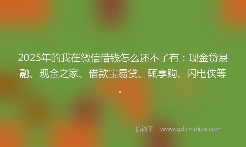 2025年的我在微信借钱怎么还不了有：现金贷易融、现金之家、借款宝易贷、甄享购、闪电侠等。