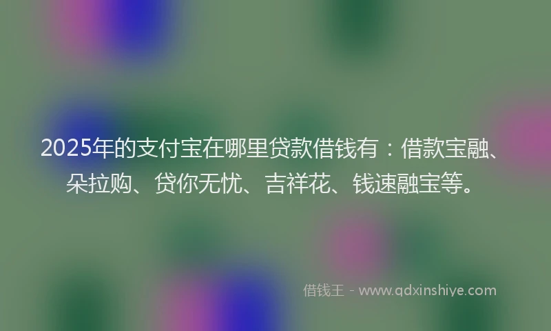 2025年的支付宝在哪里贷款借钱有：借款宝融、朵拉购、贷你无忧、吉祥花、钱速融宝等。