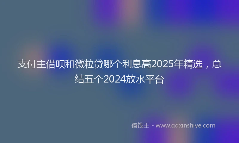 支付主借呗和微粒贷哪个利息高2025年精选，总结五个2024放水平台