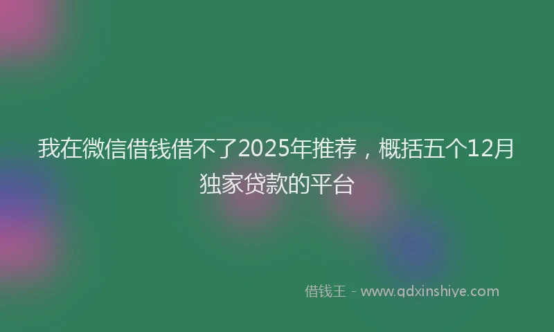 我在微信借钱借不了2025年推荐，概括五个12月独家贷款的平台