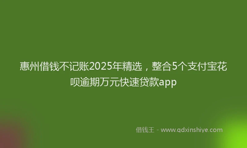 惠州借钱不记账2025年精选，整合5个支付宝花呗逾期万元快速贷款app