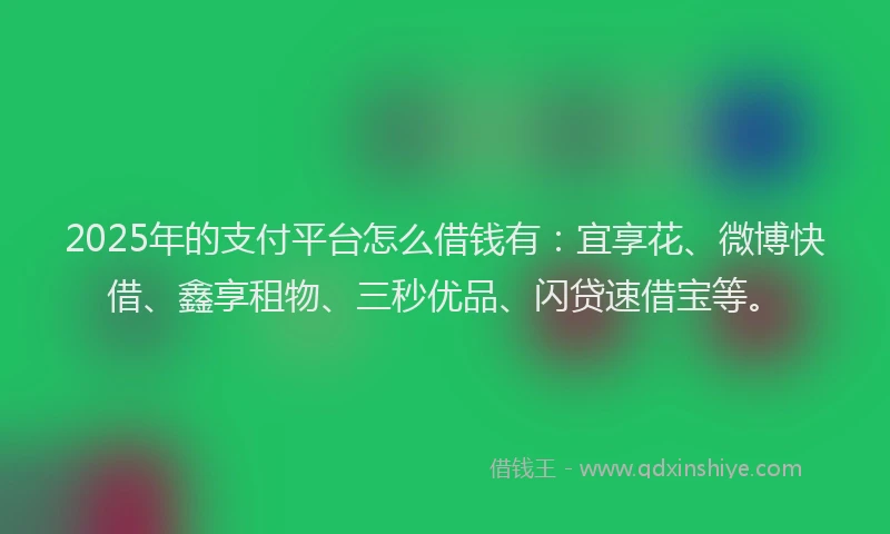 2025年的支付平台怎么借钱有：宜享花、微博快借、鑫享租物、三秒优品、闪贷速借宝等。