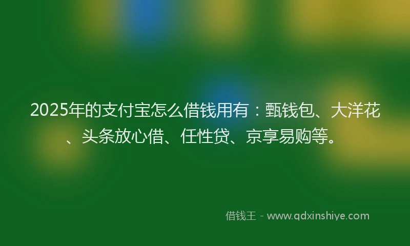 2025年的支付宝怎么借钱用有：甄钱包、大洋花、头条放心借、任性贷、京享易购等。