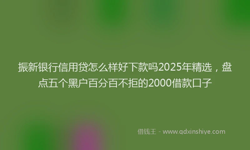 振新银行信用贷怎么样好下款吗2025年精选，盘点五个黑户百分百不拒的2000借款口子