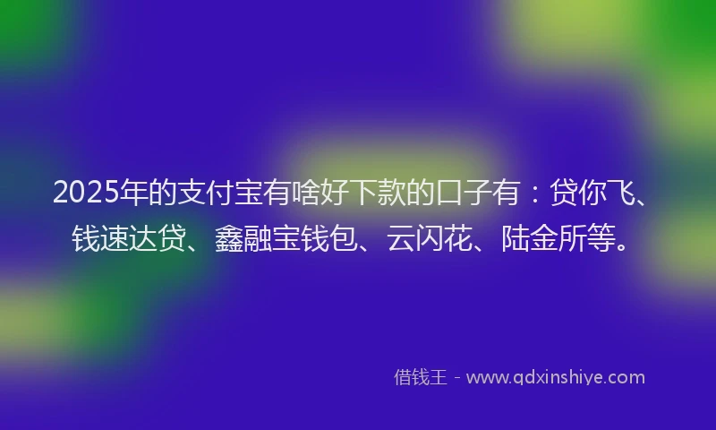 2025年的支付宝有啥好下款的口子有：贷你飞、钱速达贷、鑫融宝钱包、云闪花、陆金所等。