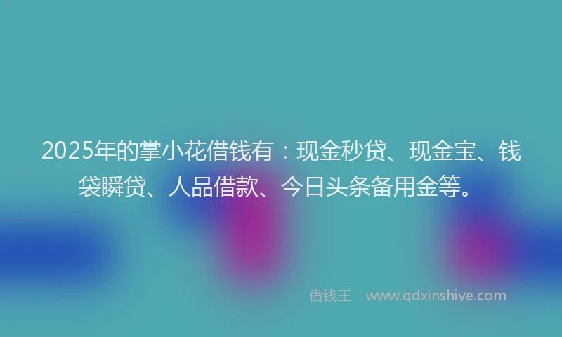 2025年的掌小花借钱有：现金秒贷、现金宝、钱袋瞬贷、人品借款、今日头条备用金等。