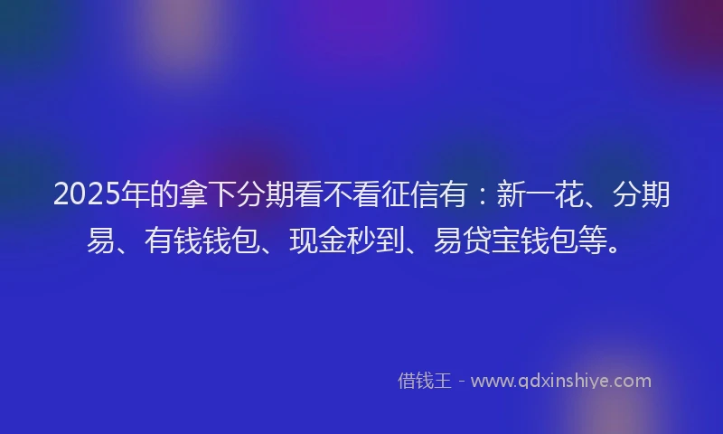 2025年的拿下分期看不看征信有：新一花、分期易、有钱钱包、现金秒到、易贷宝钱包等。