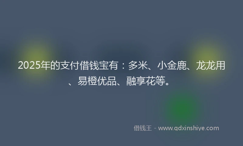 2025年的支付借钱宝有：多米、小金鹿、龙龙用、易橙优品、融享花等。