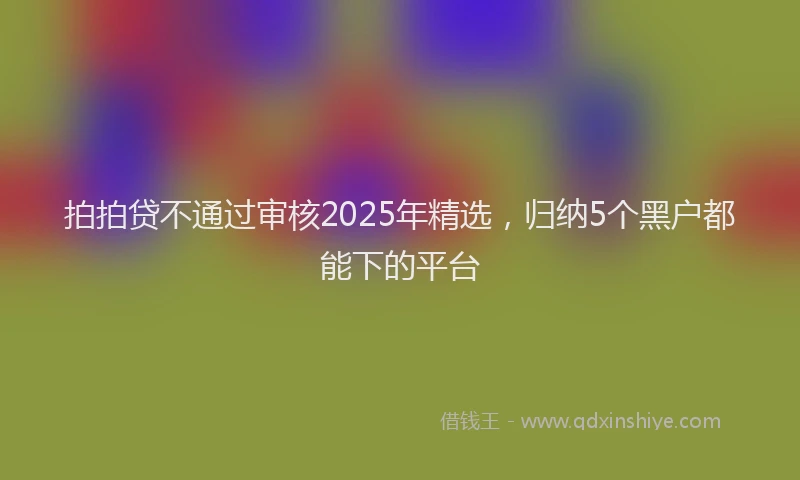 拍拍贷不通过审核2025年精选，归纳5个黑户都能下的平台