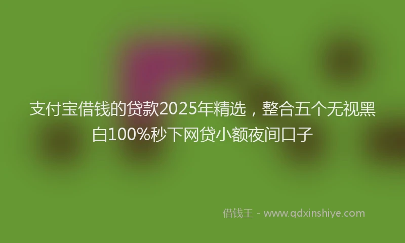 支付宝借钱的贷款2025年精选，整合五个无视黑白100%秒下网贷小额夜间口子