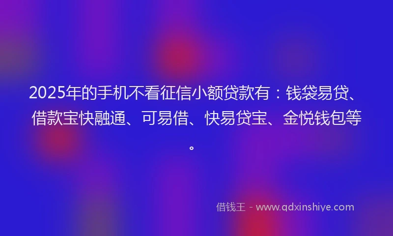 2025年的手机不看征信小额贷款有：钱袋易贷、借款宝快融通、可易借、快易贷宝、金悦钱包等。