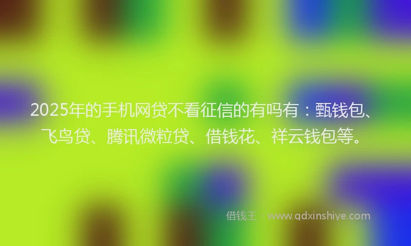 2025年的手机网贷不看征信的有吗有：甄钱包、飞鸟贷、腾讯微粒贷、借钱花、祥云钱包等。