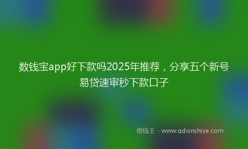 数钱宝app好下款吗2025年推荐，分享五个新号易贷速审秒下款口子