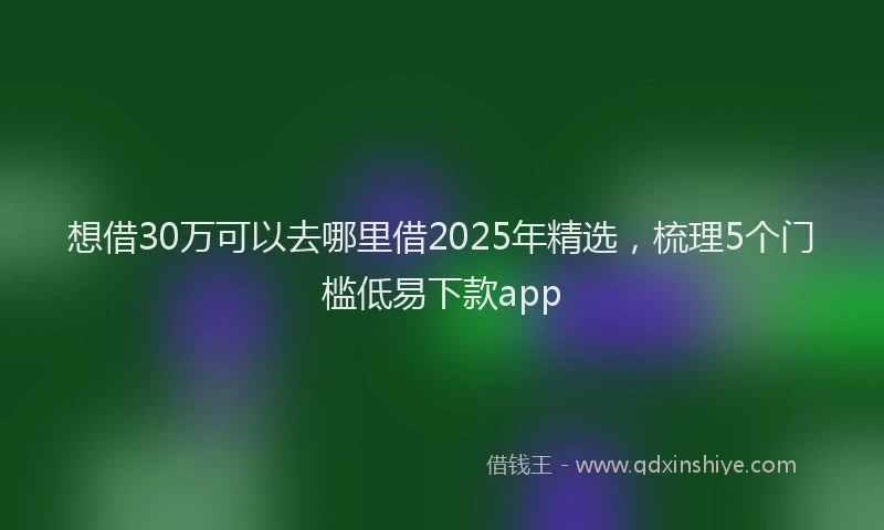 想借30万可以去哪里借2025年精选，梳理5个门槛低易下款app