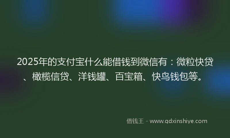 2025年的支付宝什么能借钱到微信有：微粒快贷、橄榄信贷、洋钱罐、百宝箱、快鸟钱包等。