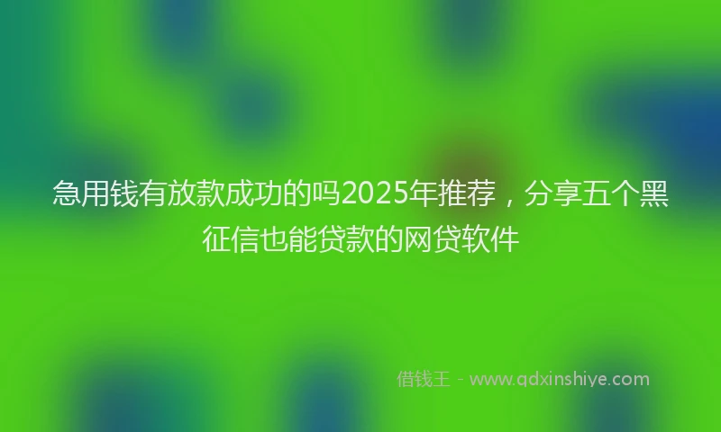 急用钱有放款成功的吗2025年推荐，分享五个黑征信也能贷款的网贷软件