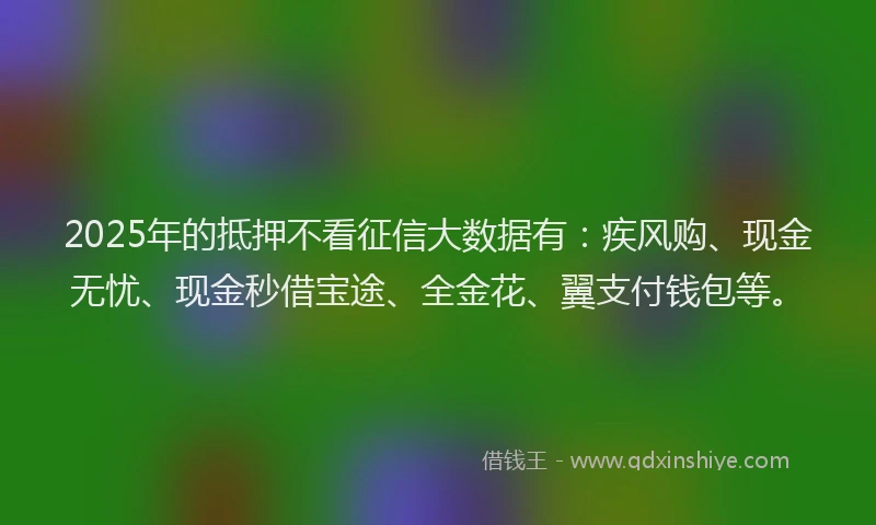 2025年的抵押不看征信大数据有：疾风购、现金无忧、现金秒借宝途、全金花、翼支付钱包等。