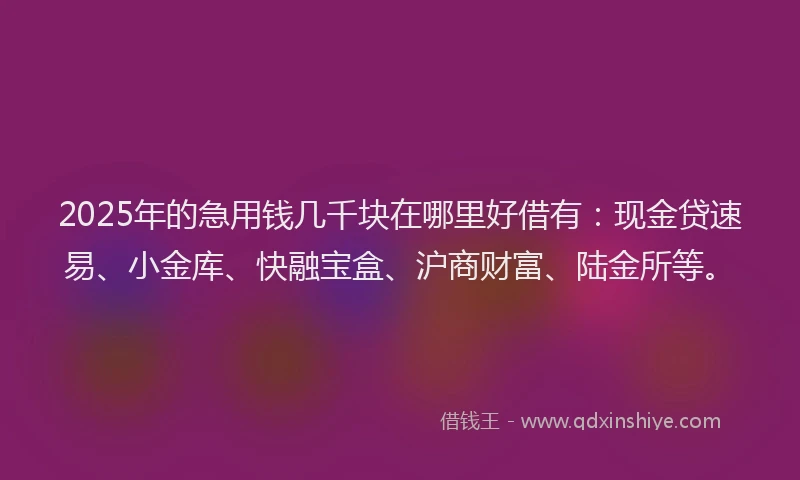 2025年的急用钱几千块在哪里好借有：现金贷速易、小金库、快融宝盒、沪商财富、陆金所等。