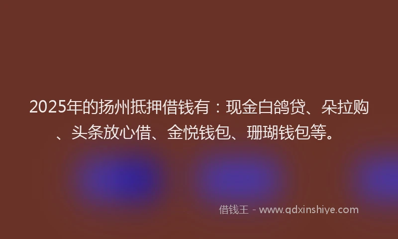 2025年的扬州抵押借钱有：现金白鸽贷、朵拉购、头条放心借、金悦钱包、珊瑚钱包等。