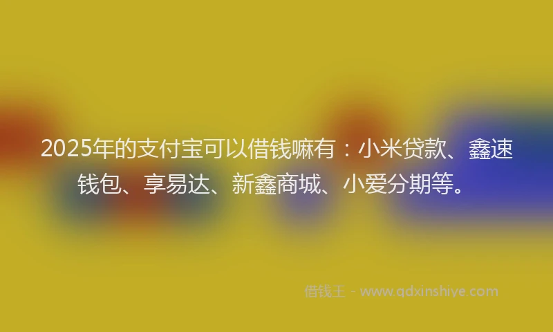 2025年的支付宝可以借钱嘛有：小米贷款、鑫速钱包、享易达、新鑫商城、小爱分期等。