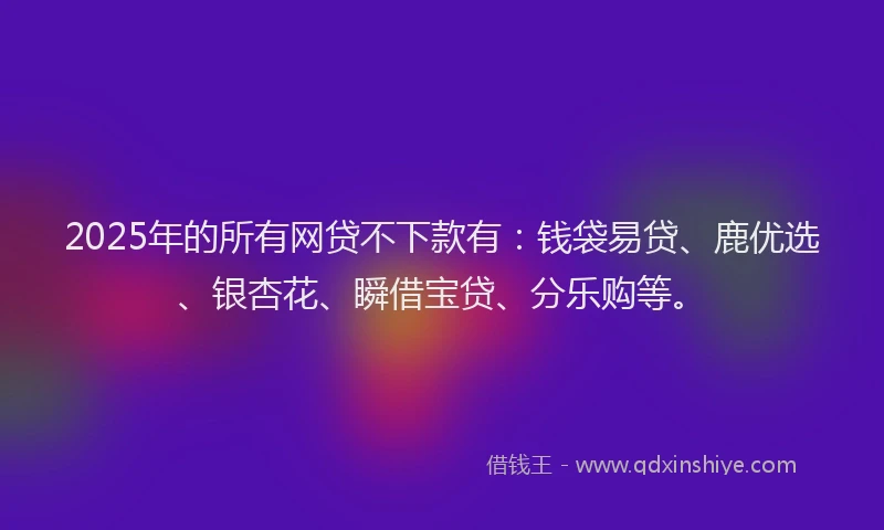 2025年的所有网贷不下款有：钱袋易贷、鹿优选、银杏花、瞬借宝贷、分乐购等。