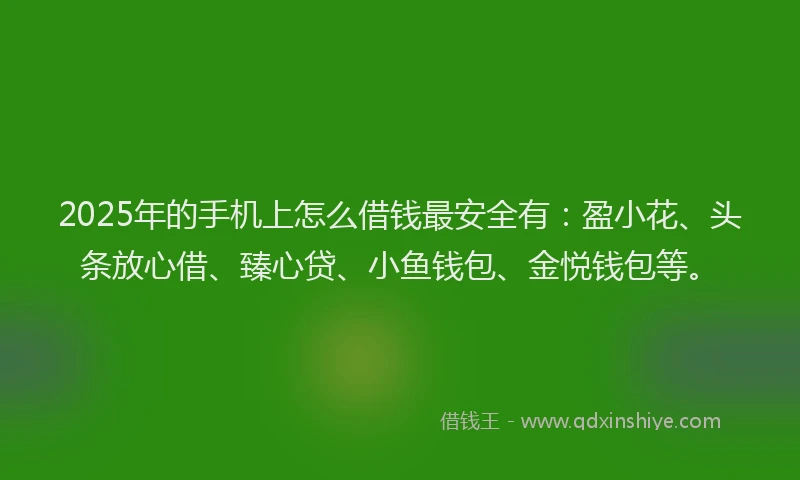 2025年的手机上怎么借钱最安全有：盈小花、头条放心借、臻心贷、小鱼钱包、金悦钱包等。