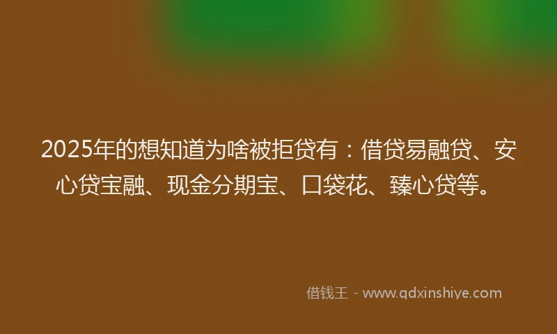 2025年的想知道为啥被拒贷有：借贷易融贷、安心贷宝融、现金分期宝、口袋花、臻心贷等。