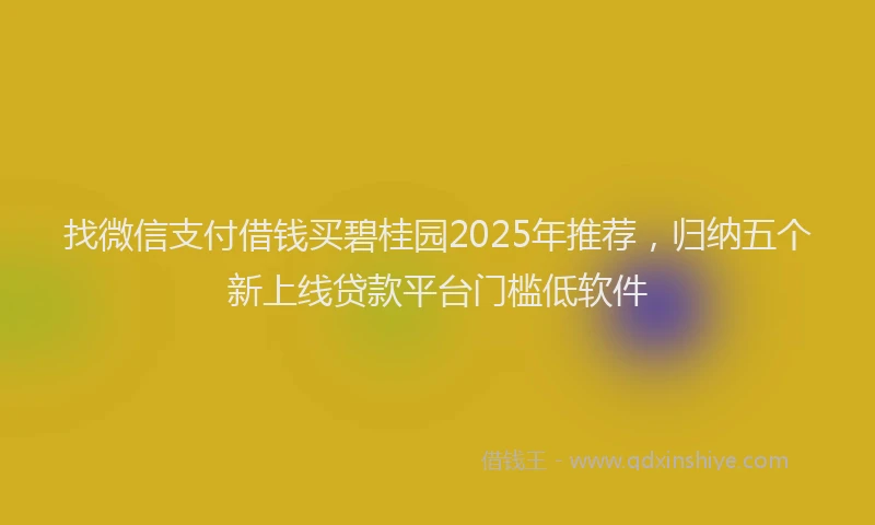 找微信支付借钱买碧桂园2025年推荐，归纳五个新上线贷款平台门槛低软件