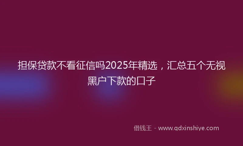 担保贷款不看征信吗2025年精选，汇总五个无视黑户下款的口子