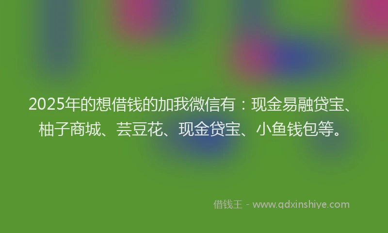 2025年的想借钱的加我微信有：现金易融贷宝、柚子商城、芸豆花、现金贷宝、小鱼钱包等。