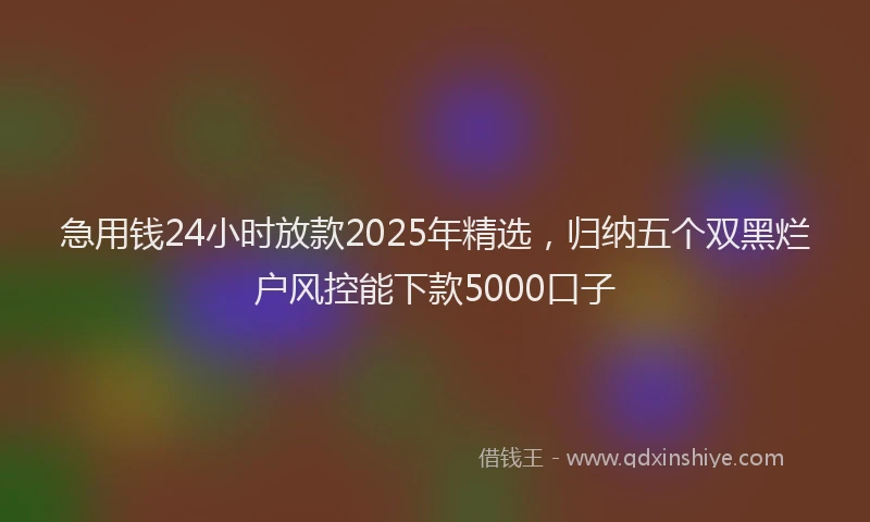 急用钱24小时放款2025年精选，归纳五个双黑烂户风控能下款5000口子