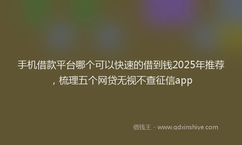 手机借款平台哪个可以快速的借到钱2025年推荐，梳理五个网贷无视不查征信app