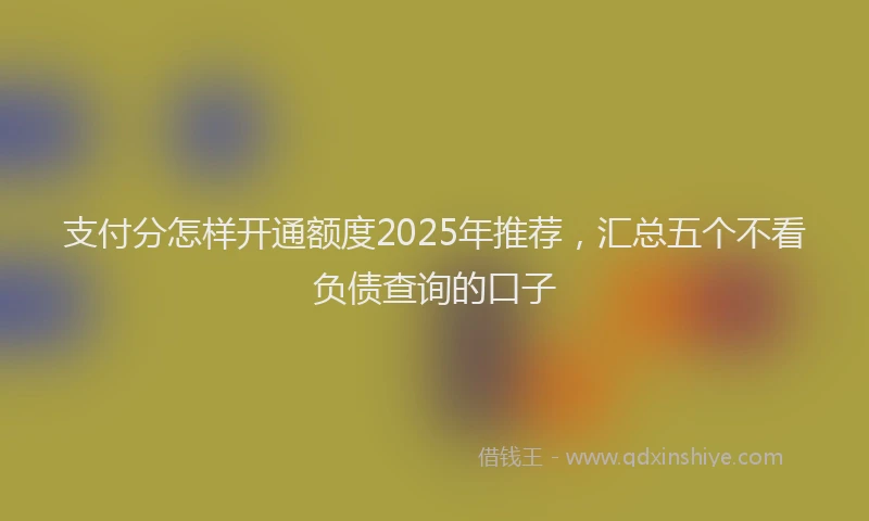 支付分怎样开通额度2025年推荐，汇总五个不看负债查询的口子