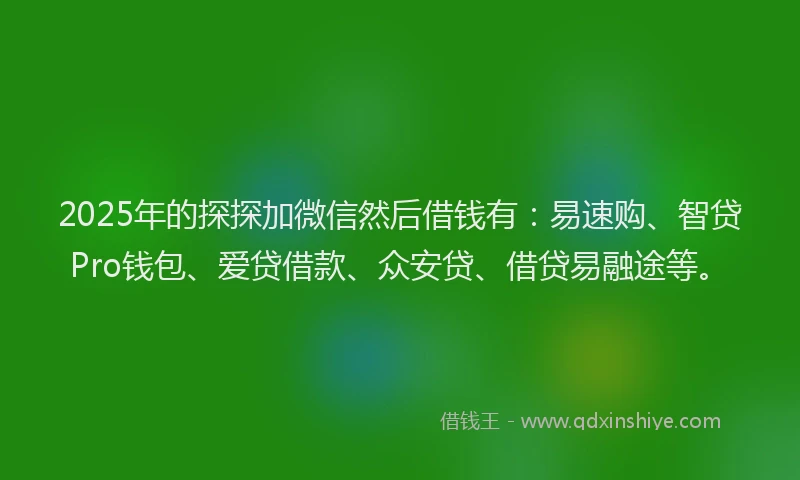 2025年的探探加微信然后借钱有：易速购、智贷Pro钱包、爱贷借款、众安贷、借贷易融途等。